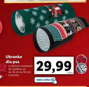Lidl Ubranko dla psa oferta