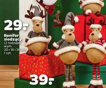 Netto Renifer oferta