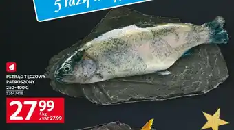 Selgros PSTRĄG TĘCZOWY PATROSZONY 250-400 G oferta