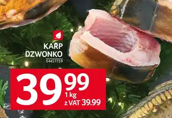 Selgros KARP DZWONKO 1 kg oferta
