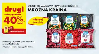 Biedronka WSZYSTKIE WARZYWA I OWOCE MROŻONE Mroźna Kraina oferta