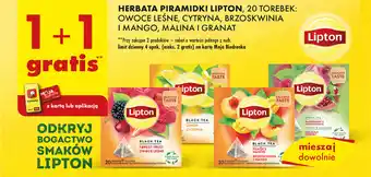Biedronka HERBATA PIRAMIDKI LIPTON, 20 TOREBEK: OWOCE LEŚNE, CYTRYNA, BRZOSKWINIA oferta