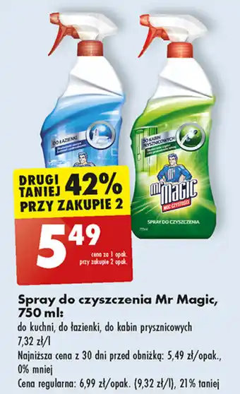 Biedronka Spray do czyszczenia Mr Magic, 750 ml oferta
