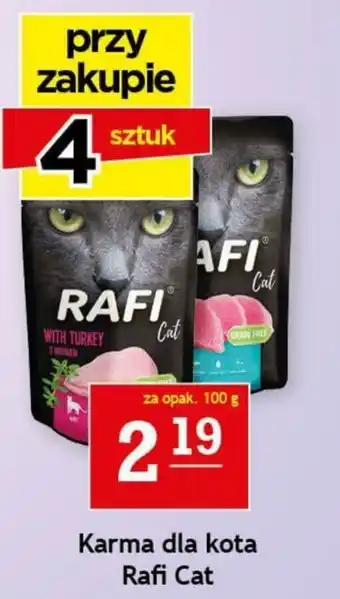 Gram Market Karma dla kota Rafi Cat 100g oferta