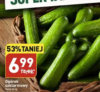 ALDI Ogórek oferta