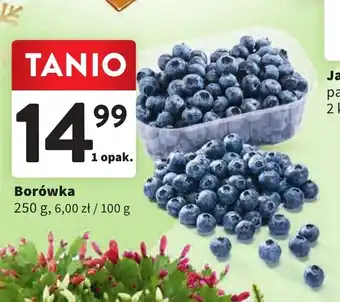 Intermarche Borówka 250 g oferta