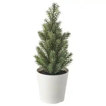 Vinterfint sztuczna roślina w doniczce, do wewnątrz/na zewnątrz/choinka zielony, 6 cm