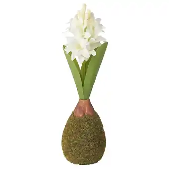 Vinterfint sztuczny kwiat, hiacynt biały, 22 cm
