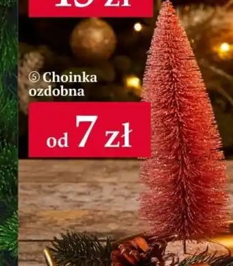 Woolworth Choinka oferta