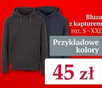 Woolworth Bluza z kapturem oferta
