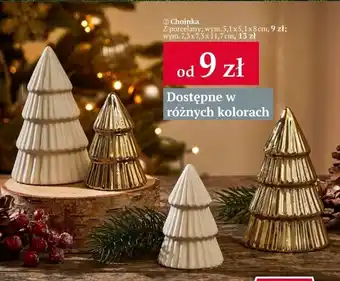 Woolworth Choinka oferta