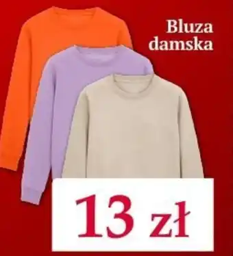 Woolworth Bluza damska oferta