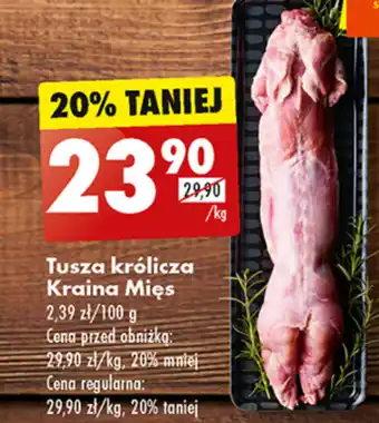 Biedronka Tuszka królicza kraina mięs oferta