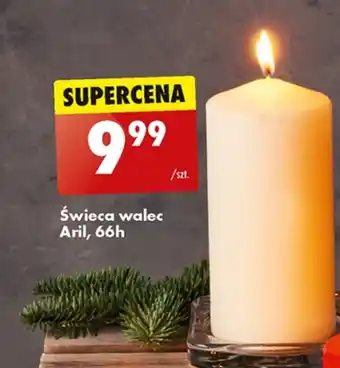 Biedronka Świeca aril oferta