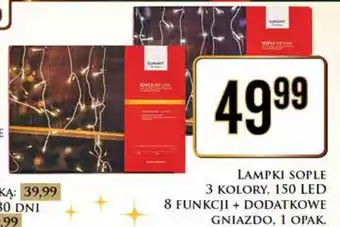 Dino Lampki led oferta