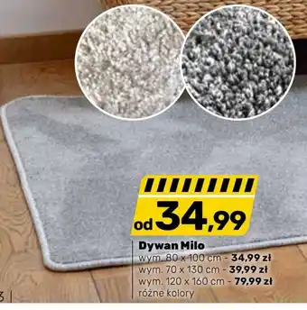Bricomarche Dywan milo oferta