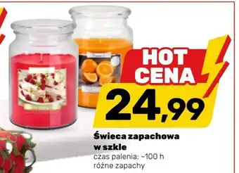 Bricomarche Świeca zapachowa oferta