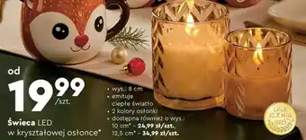 Biedronka Świeca led oferta