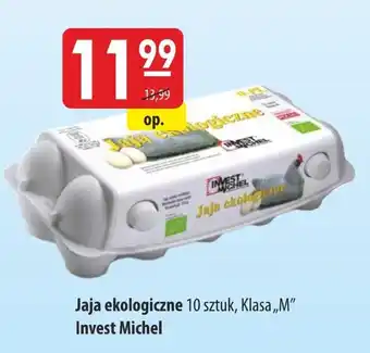 MOKPOL Jaja invest michel oferta
