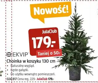 Jula Choinka ekvip oferta