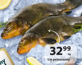 Auchan Lin patroszony 1kg oferta