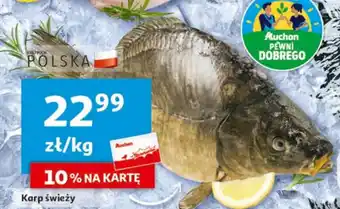 Auchan Karp świeży 1kg oferta