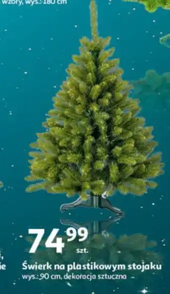 Auchan Świerk na plastikowym stojaku oferta