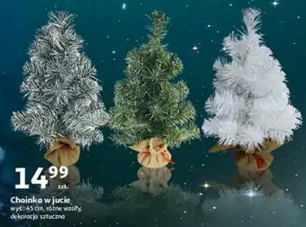 Auchan Choinka w jucie oferta