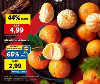 Lidl Mandarynki 1kg oferta