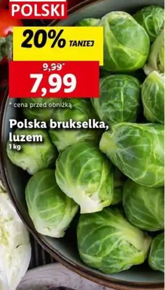 Lidl Polska brukselka 1 kg oferta
