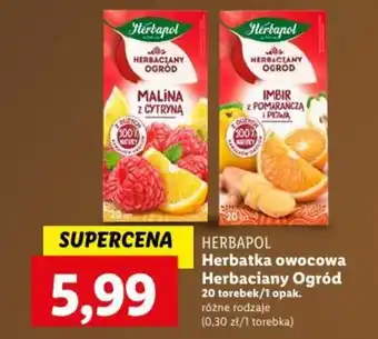 Lidl Herbapol Herbatka owocowa Herbaciany Ogród 20 torebek oferta