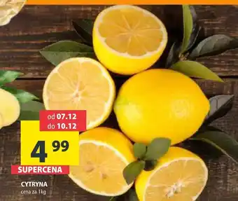 Arhelan Cytryna oferta