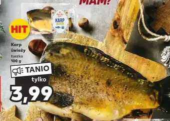 Kaufland Karp hit oferta