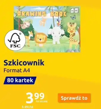 Action Szkicownik oferta