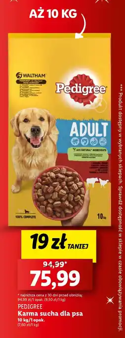 Lidl PEDIGREE Karma sucha dla psa 10 kg oferta