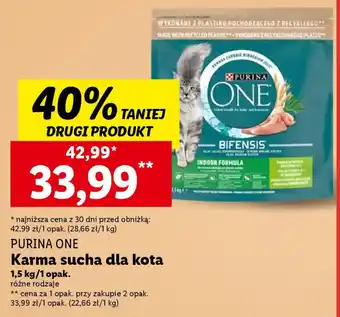 Lidl PURINA ONE Karma sucha dla kota 1,5 kg oferta