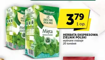 Groszek HERBATA EKSPRESOWA ZIELNIK POLSKI 20 torebek oferta