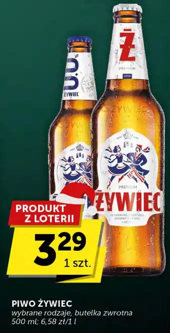 Groszek PIWO ŻYWIEC 500ml oferta