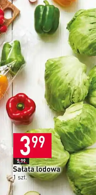 Stokrotka Sałata lodowa 1 szt. oferta
