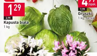 Stokrotka Kapusta biała 1 kg oferta