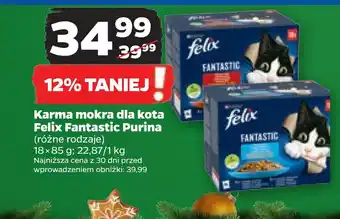 Netto Karma mokra dla kota felix fantastic purina oferta