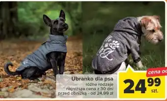 Ubranko dla psa