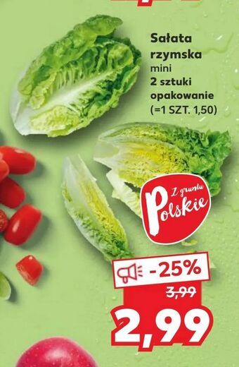 Kaufland Sałata rzymska oferta