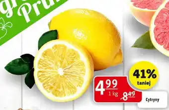 Prim Market Cytryny 1 kg oferta