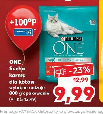 Kaufland ONE Sucha karma dla kotów oferta