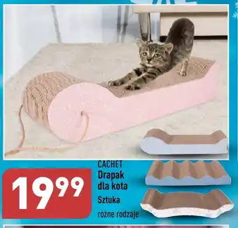 ALDI CACHET Drapak dla kota Sztuka oferta