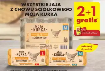 Biedronka WSZYSTKIE JAJA Z CHOWU ŚCIÓŁKOWEGO MOJA KURKA oferta