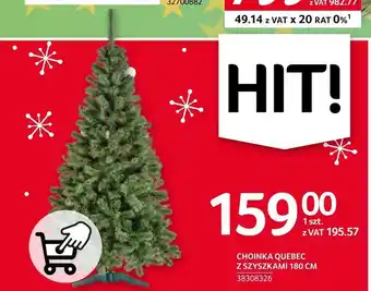 Selgros Choinka oferta