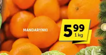 Groszek Mandarynki oferta