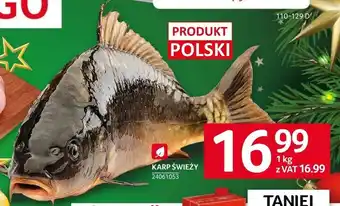 Selgros Karp oferta